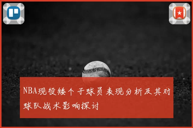 NBA现役矮个子球员表现分析及其对球队战术影响探讨